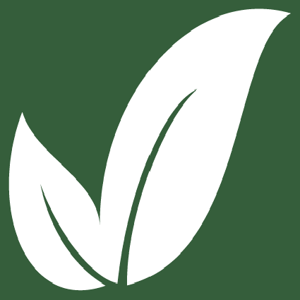 500 Foods leaf